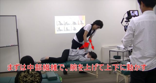 23-14_まずは中部繊維で、腕を上げて上下に動かす
