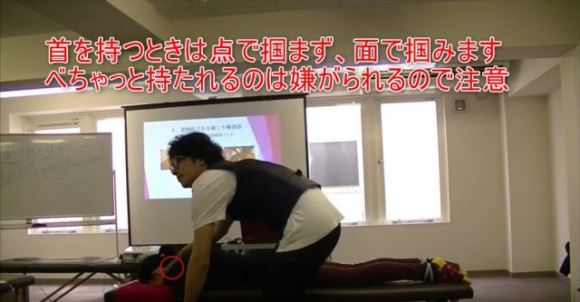 26-04_首を持つときは点で掴まず、面で掴みますべちゃっと持たれるのは嫌がられるので注意