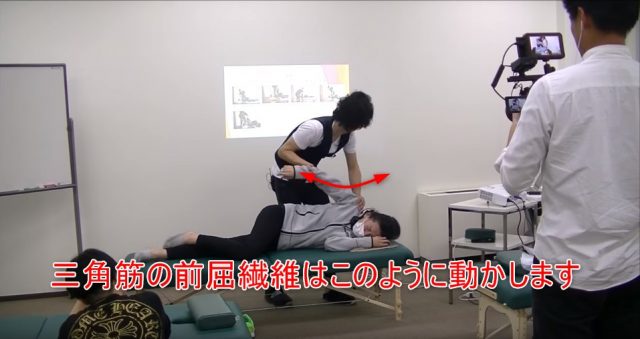 23-15_三角筋の前屈繊維はこのように動かします