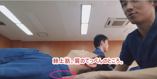 棘上筋。肩のてっぺんのところ。