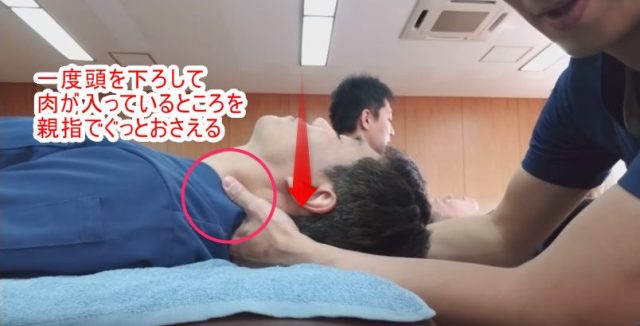 一度頭を下ろして肉が入っているところを親指でぐっと抑える