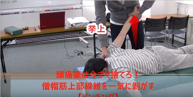 挙上
