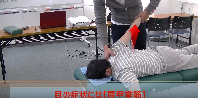 挙上