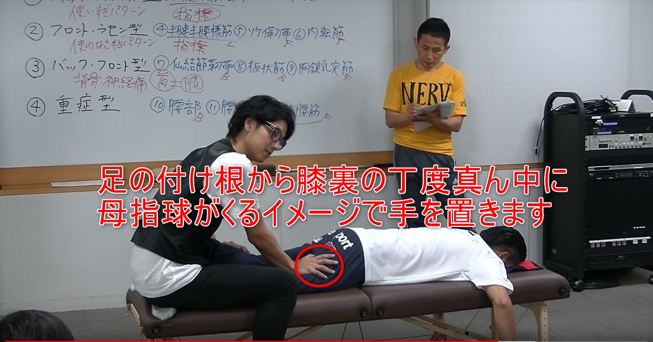 足の付け根から膝裏の丁度真ん中に母指球がくるイメージで手を置きます