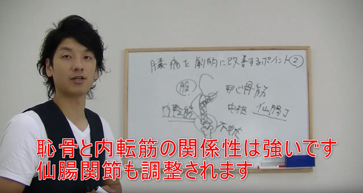 36-05_恥骨と内転筋の関係性は強いです仙腸関節も調整されます