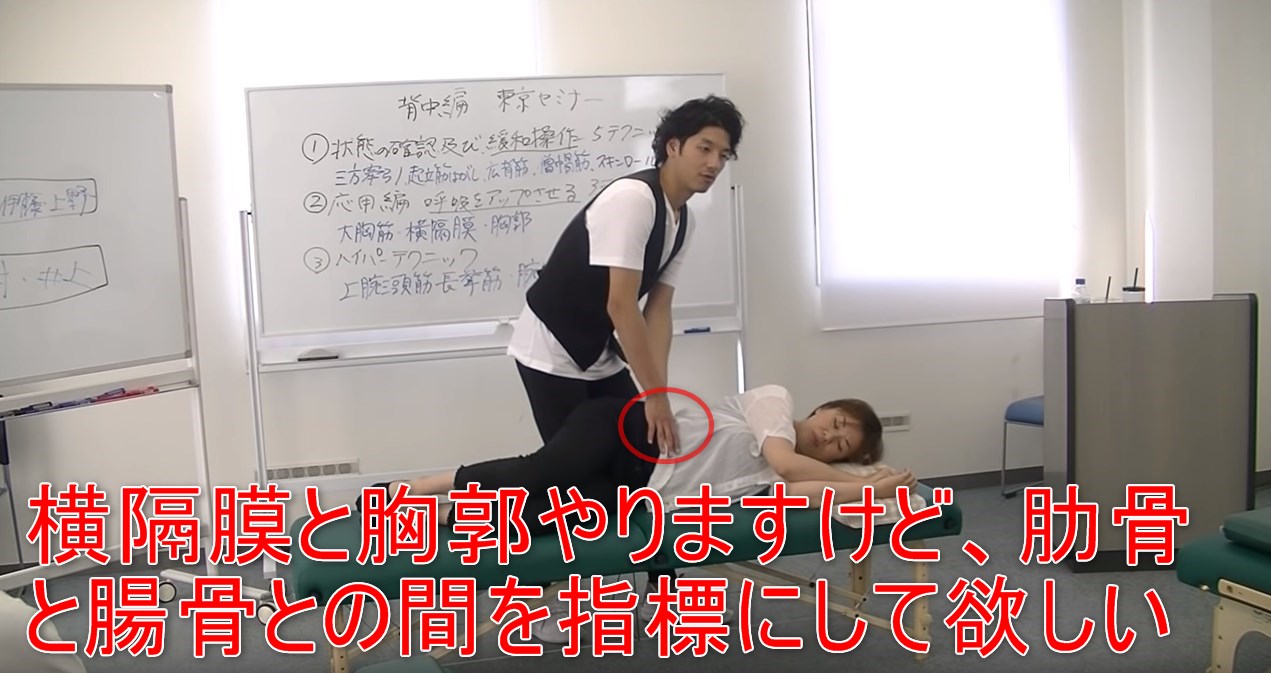 43-04_横隔膜と胸郭やりますけど、肋骨と腸骨との間を指標にして欲しい