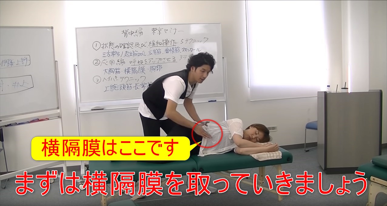 43-05_まずは横隔膜を取っていきましょう