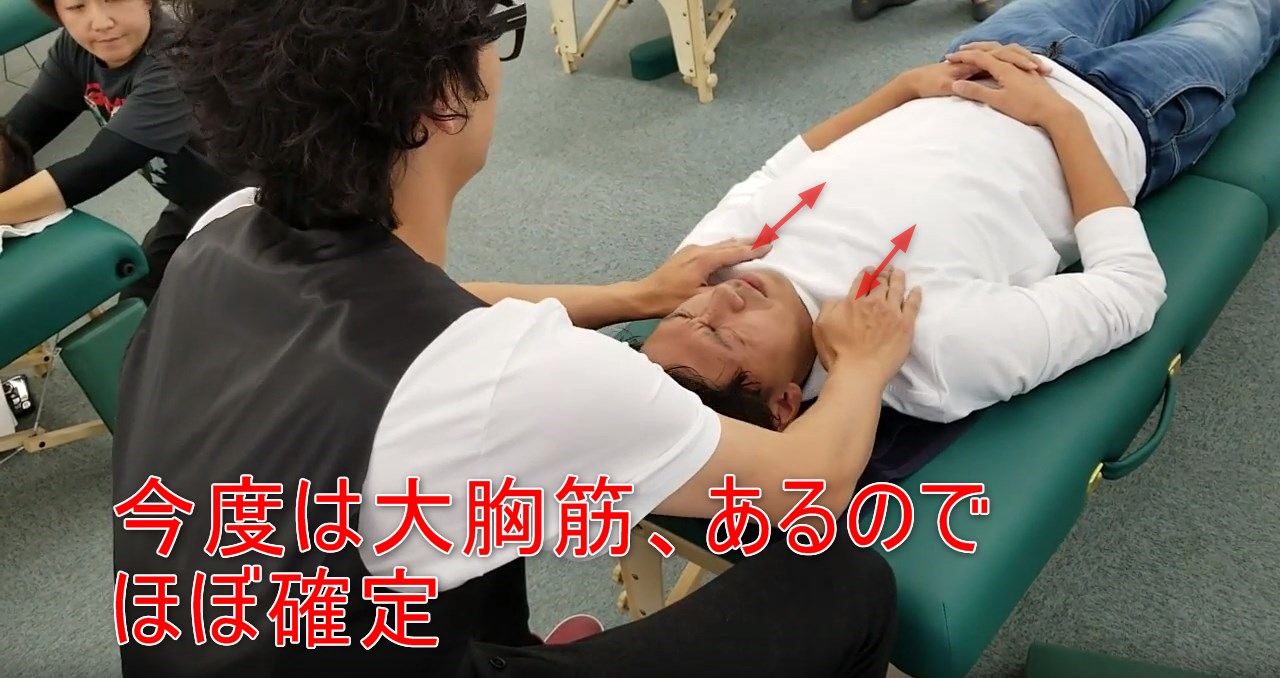 55-02_今度は大胸筋、あるのでほぼ確定