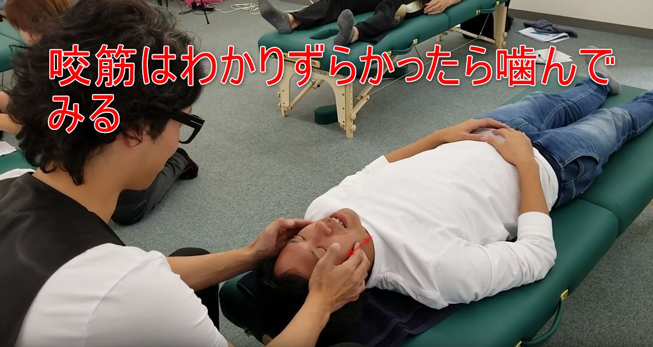 55-06_咬筋はわかりずらかったら噛んでみる