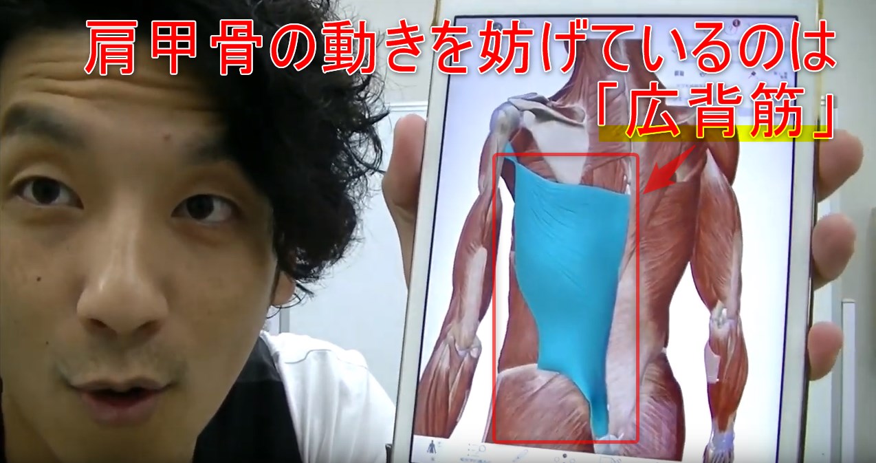 67-05_肩甲骨の動きを妨げているのは「広背筋」