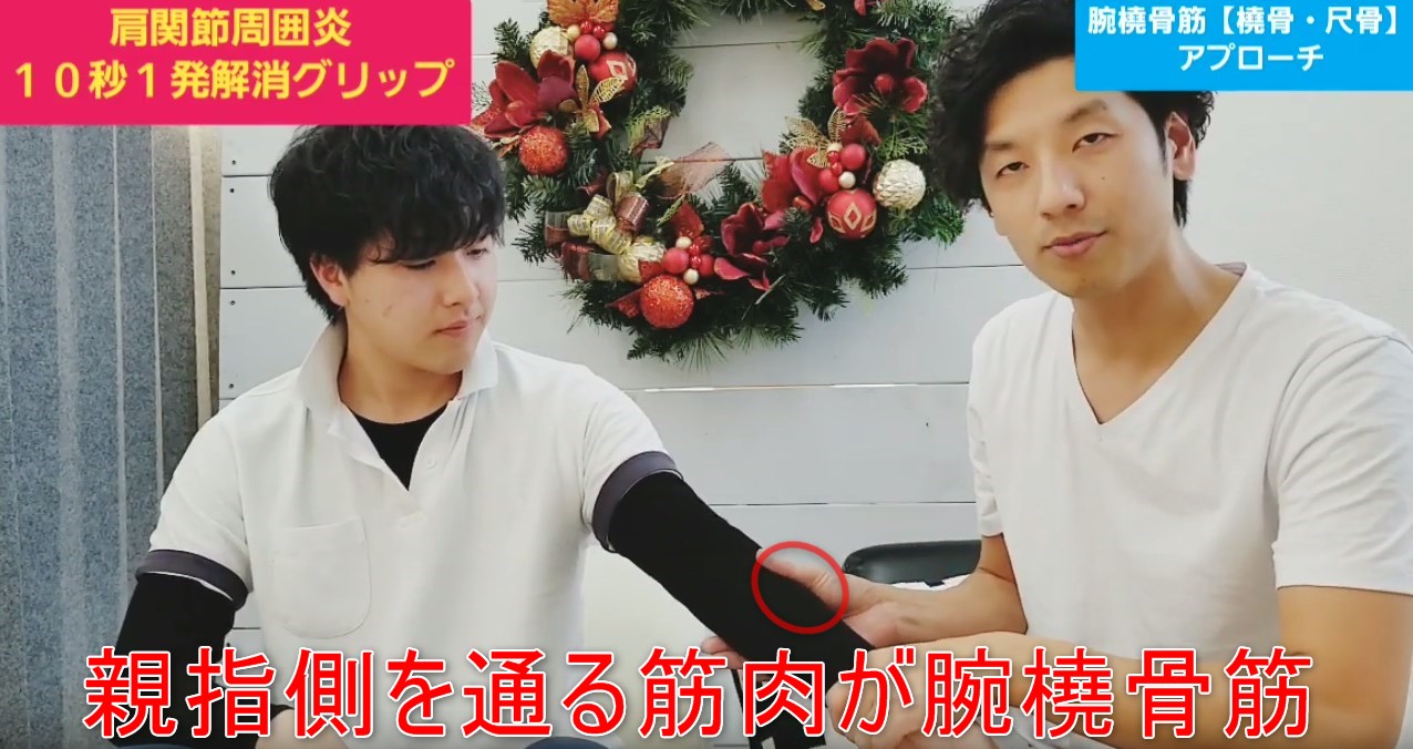 70-04_親指側を通る筋肉が腕橈骨筋