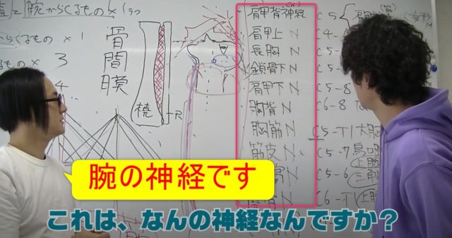 90-04_首から出ている神経が腕を支配!腕と首の関係性