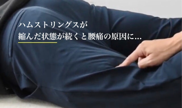 腰痛は太ももで解決?大腿二頭筋へのアプローチで改善する理由