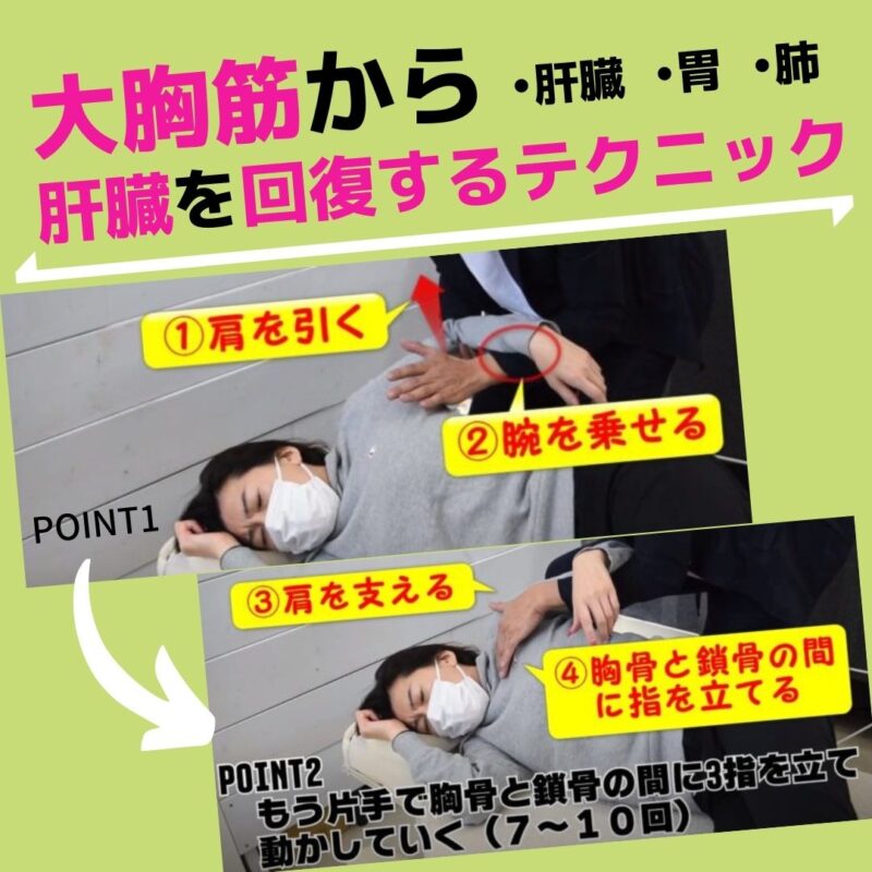 肝臓の機能を改善するには？