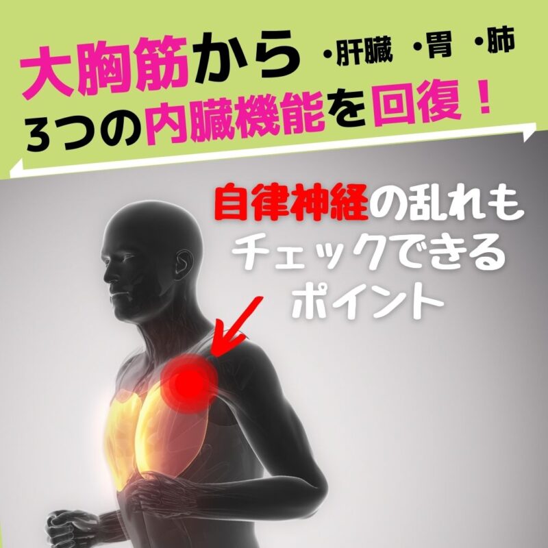 大胸筋のアプローチまとめ