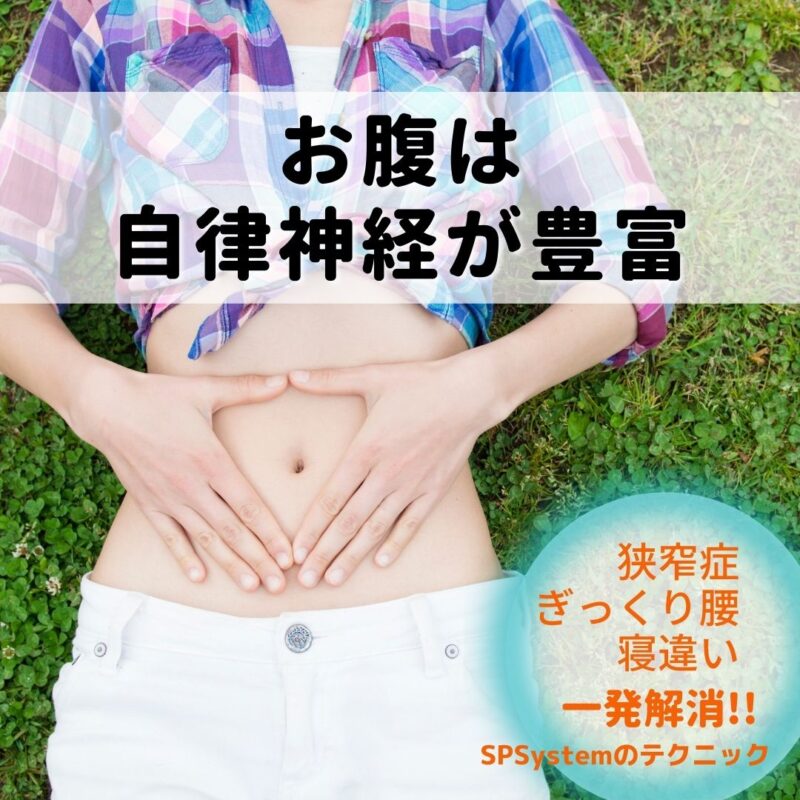 SP System臨床セミナーでの「狭窄症・ぎっくり腰・寝違え」治療テクニックのまとめ