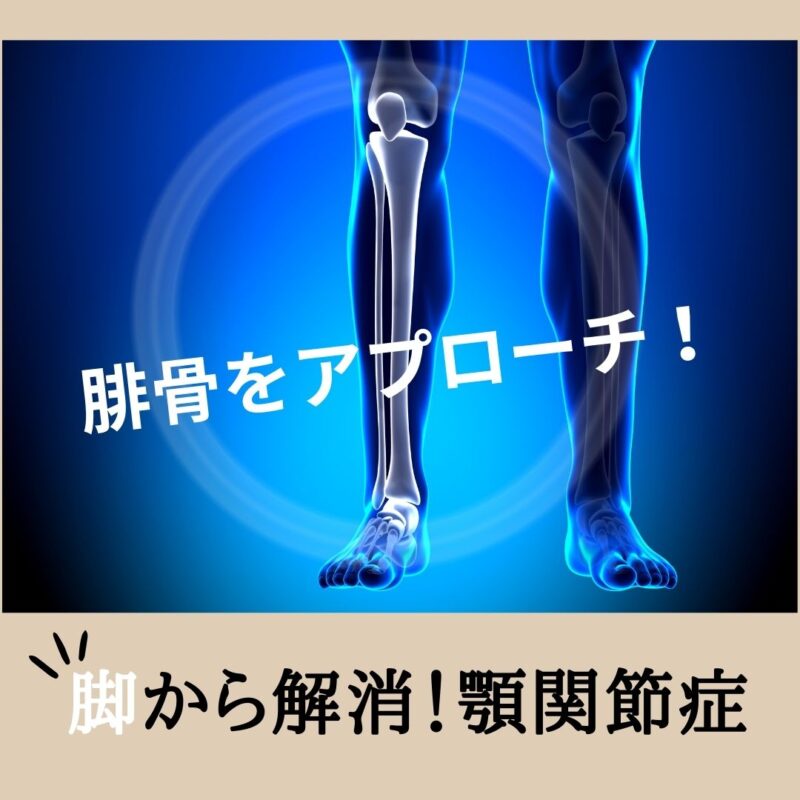 腓骨のアプローチによる変化は?オトガイの硬さが変わる