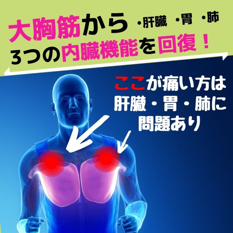 大胸筋のアプローチ