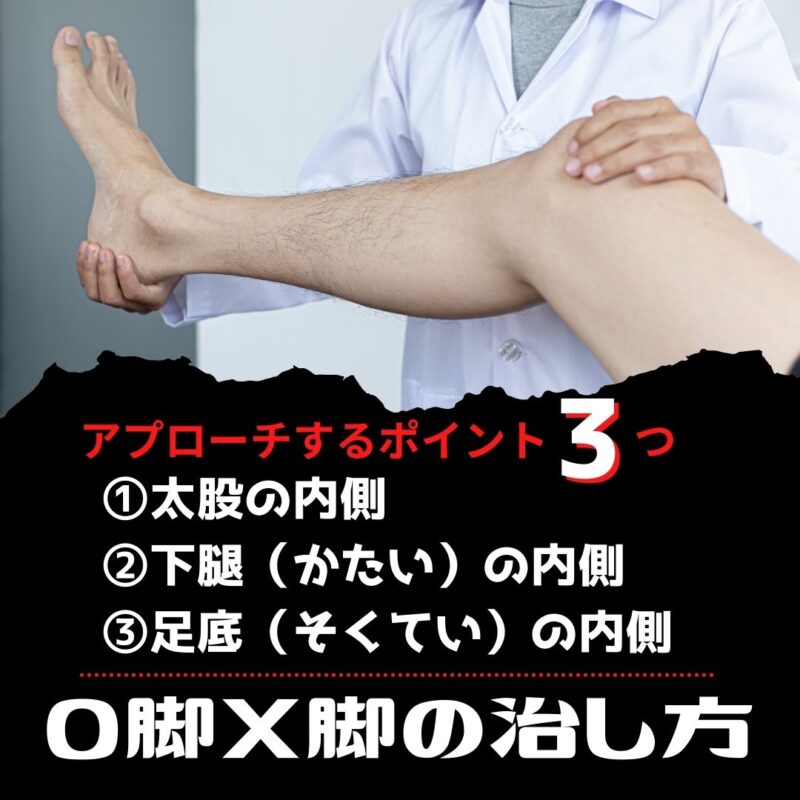 O脚、X脚を3つのポイントからアプローチ!SP Systemの効果を解説