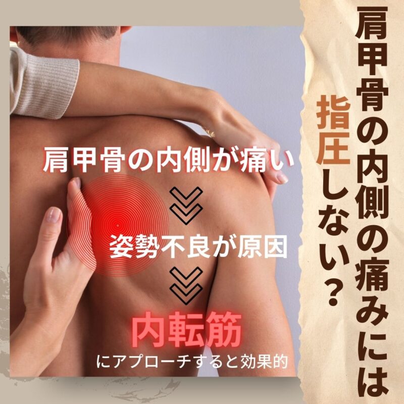 肩甲骨の内側の痛みに対するまとめ
