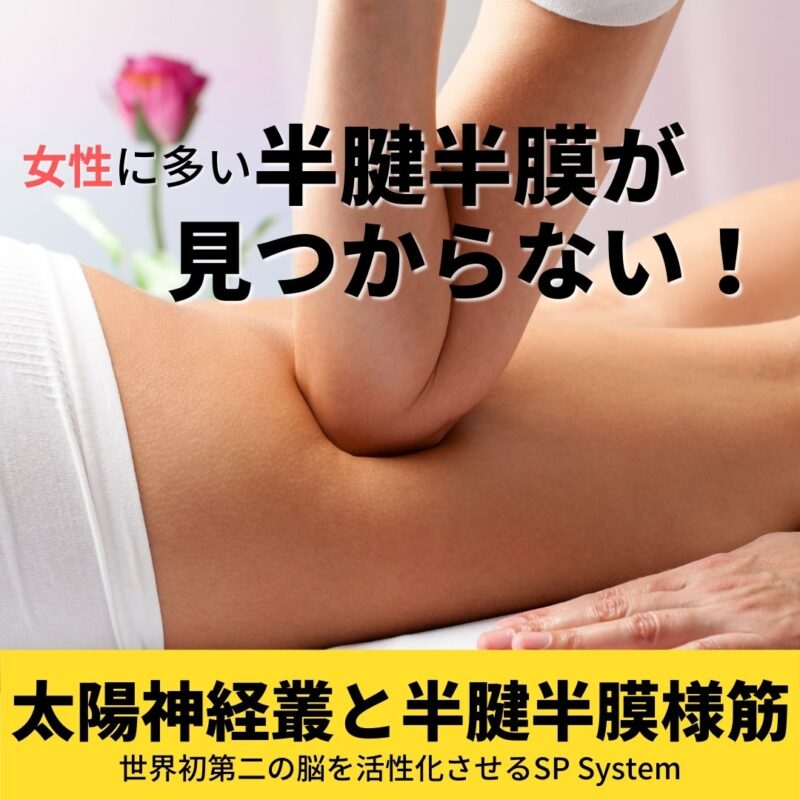 半腱半膜が見つからない!小さく固まっている状態