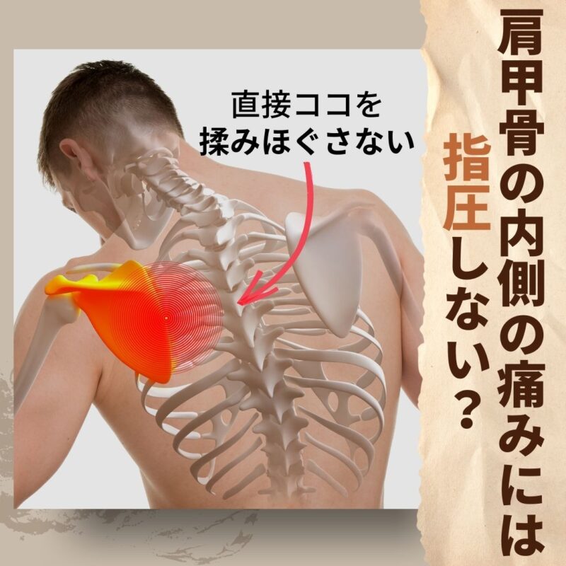 肩甲骨の内側の痛みや痺れの根本的な原因は?SP Systemでのアプローチの考え方