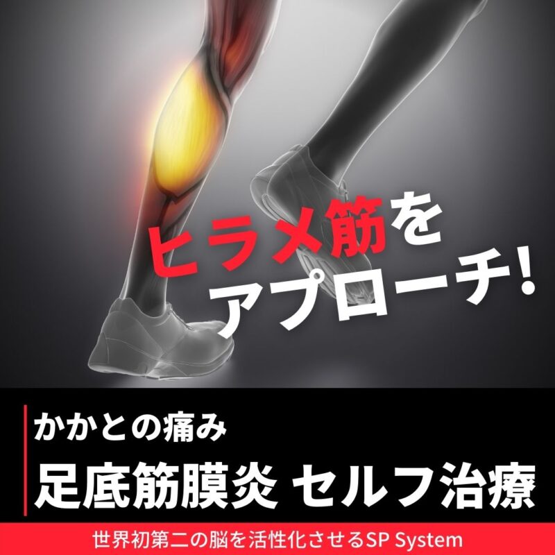 足底筋膜炎を改善するために狙う場所は？半腱半膜を間接的にアプローチ