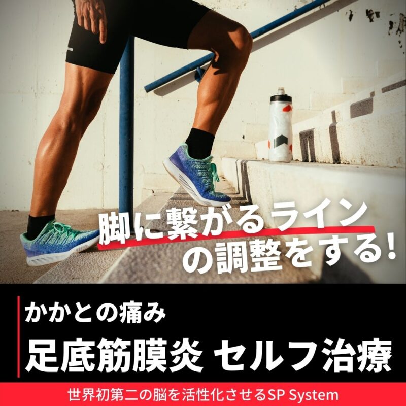 足底筋膜炎を改善する方法は？半腱半膜に繋がるラインを調整すること