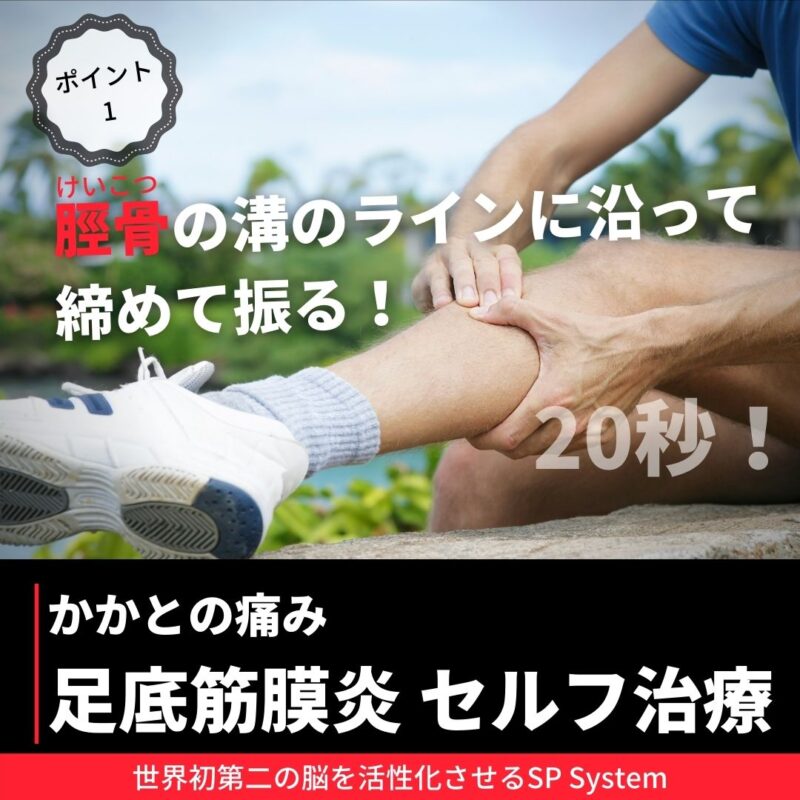 足底筋膜炎を改善する方法は？ポイント①：半腱半膜の活性するには脛骨のアプローチ