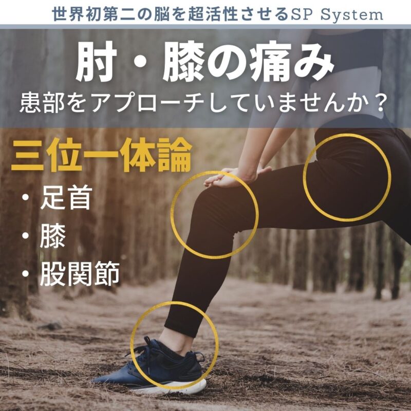 三位一体論って?「手首」「肘」「肩関節」から上肢が作られている考え方