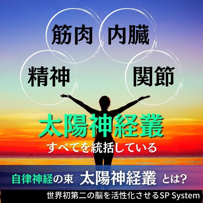 第2の脳!太陽神経叢のまとめ