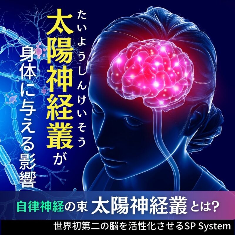 太陽神経叢が身体与える影響は?