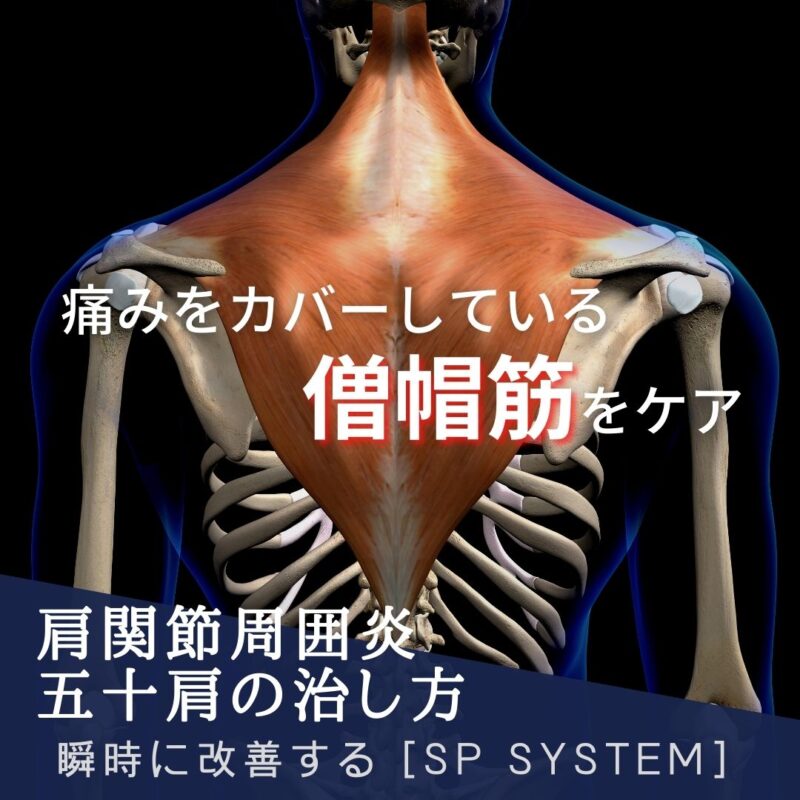 片関節周囲炎・五十肩に対して見落としてる筋肉とは?3つの筋肉を解説