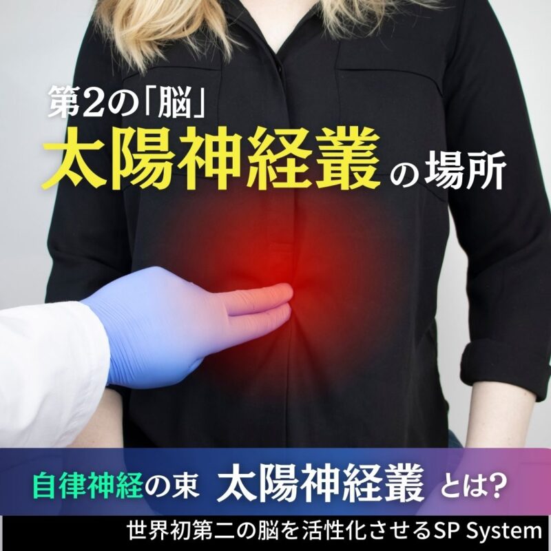 そもそも太陽神経叢って何?どこにあるの?