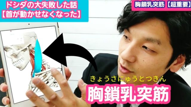 胸鎖乳突筋とは？脳の状態を把握できるデリケートな筋肉