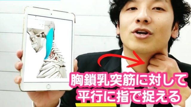 胸鎖乳突筋へのアプローチの注意点まとめ