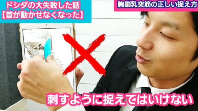 胸鎖乳突筋をどう捉えるべきか？土信田のアプローチ方法