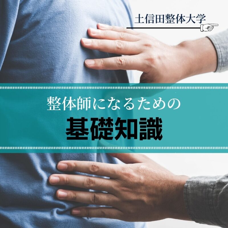 1.整体師になるための基礎知識