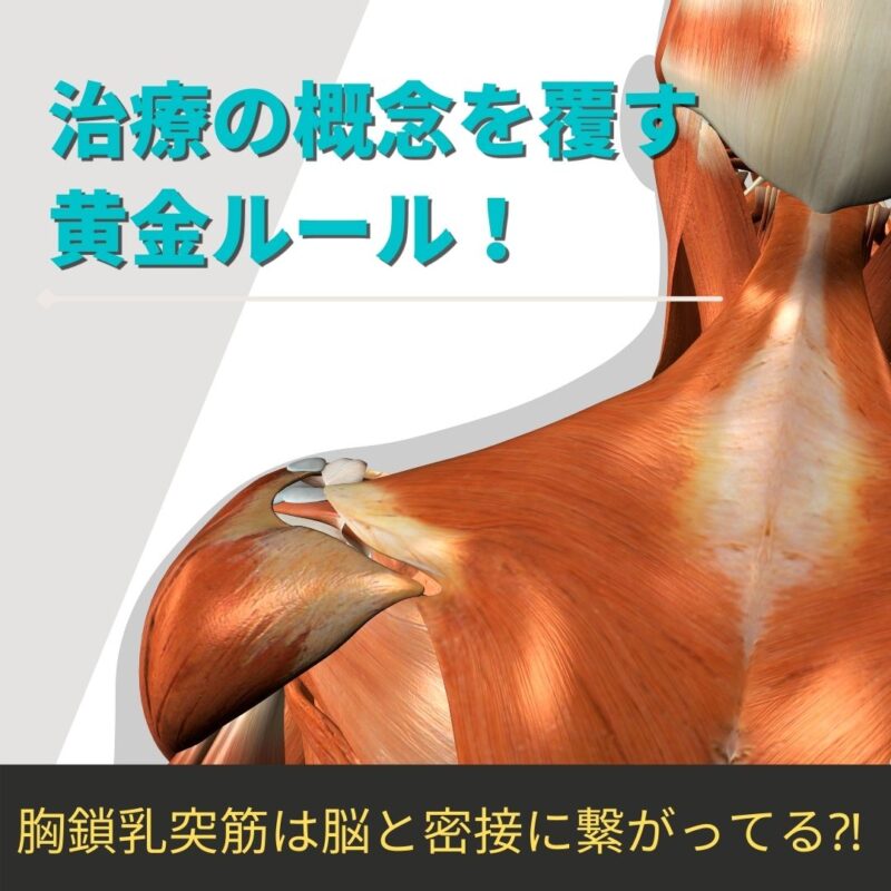 【整体師】治療の概念を覆す黄金ルール‼️最後の〆は胸鎖乳突!?